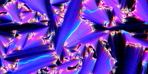 Extended Kibble-Zurek Mechanism